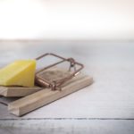 pest control-mouse trap