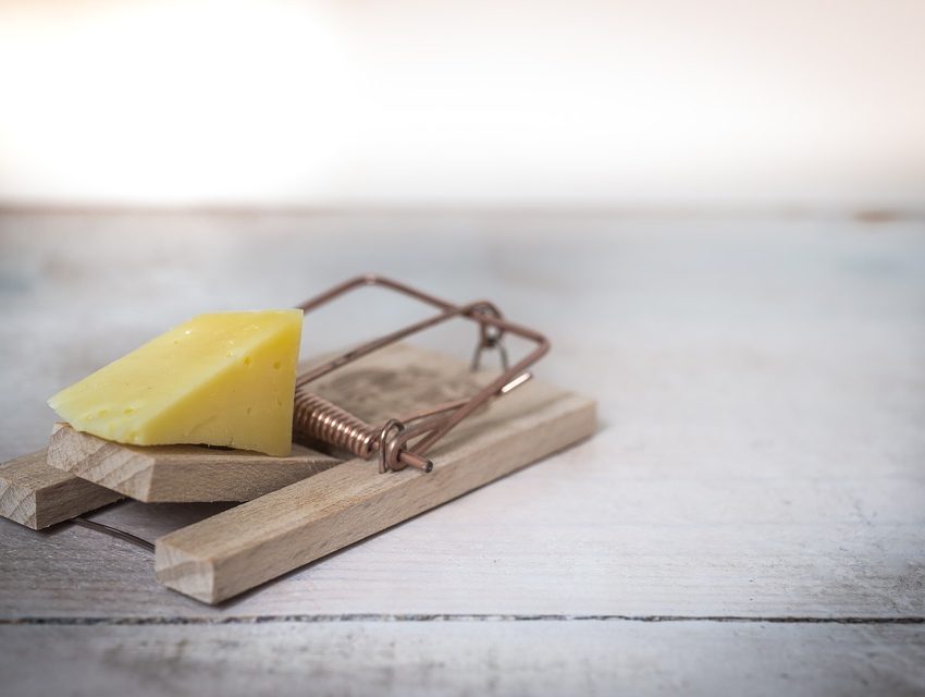 pest control-mouse trap