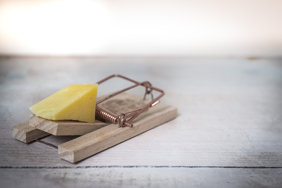 pest control-mouse trap